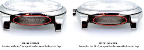 what is the number on the back of rolex case